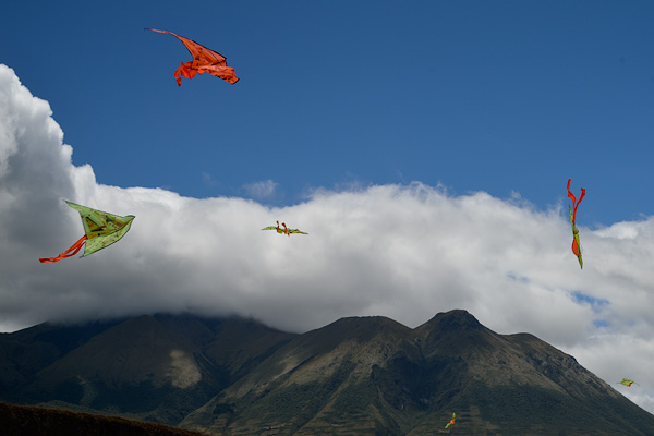 20120816 - kite flyingi - 0003.jpg